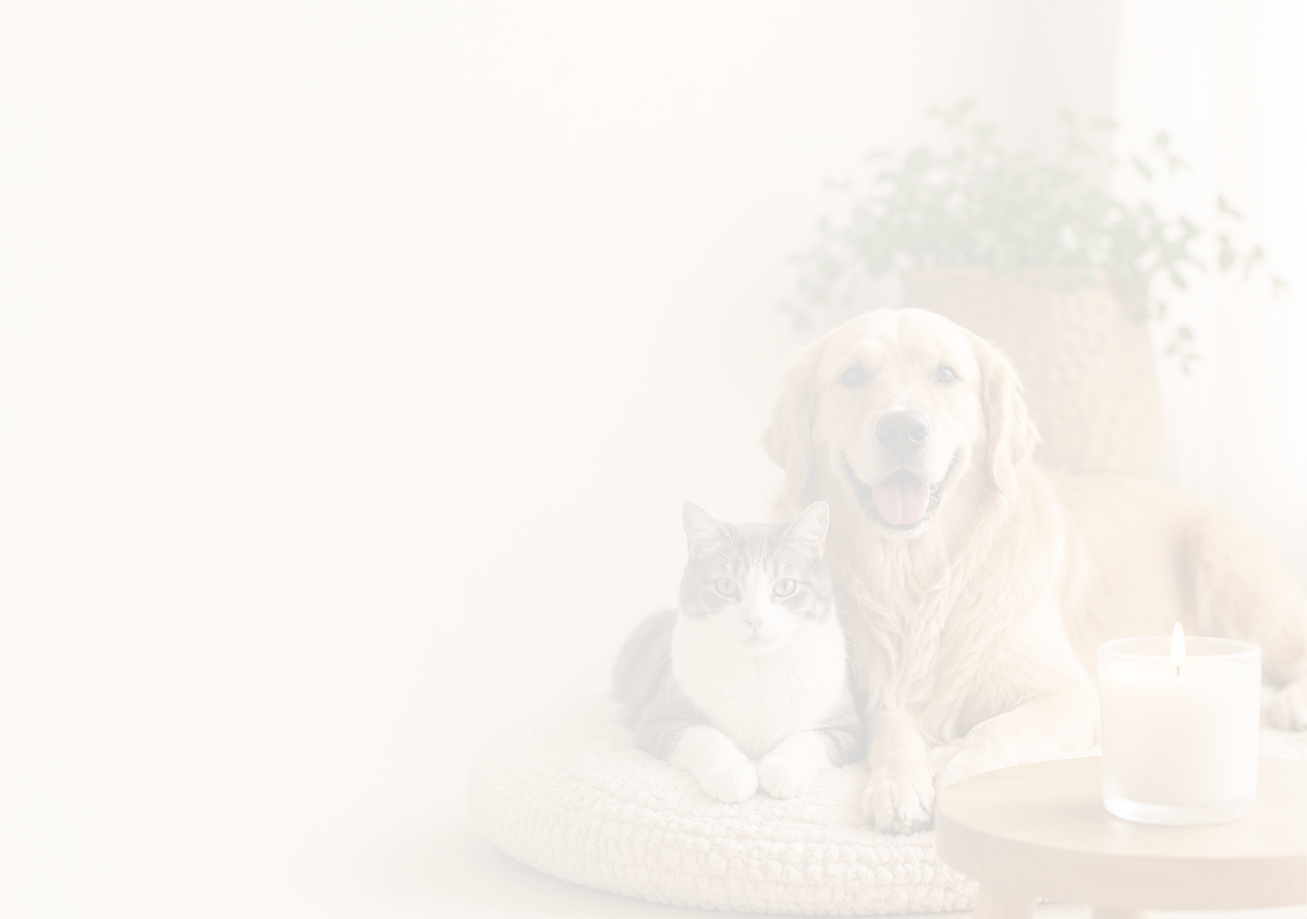 ODOR ELIMINATING