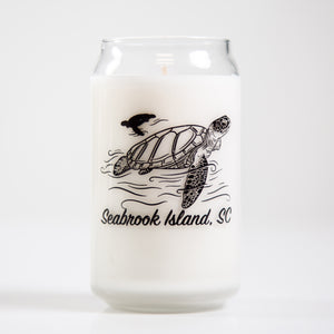 Seabrook Island Turtle