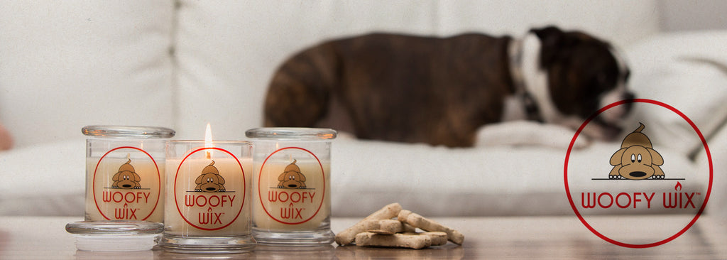 woofy Wix Banner
